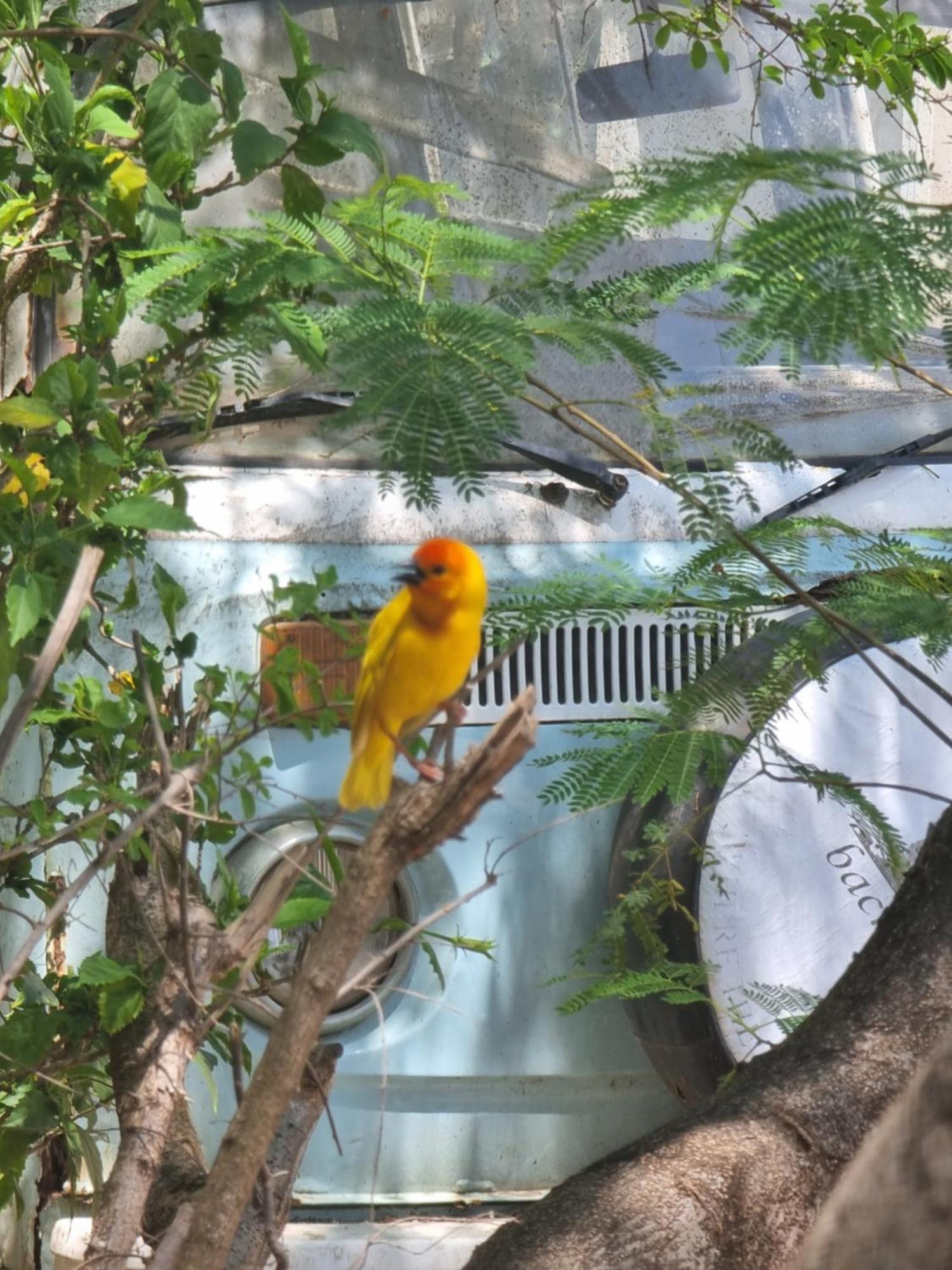 Ostello Tulia House Backpackers Mombasa Esterno foto